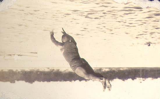 Scanned photo of a swimmer in mid-dive.