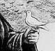 Thumbnail:_Cartoon_of_Andrew_Carnegie_as_the_Angel_of_Peace_(detail).