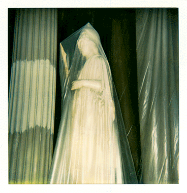 Photo_of_plaster_cast_of_Athena_wrapped_in_plastic.