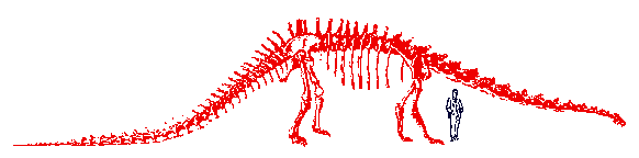 Drawing_of_dinosaur_skeleton_alongside_human_figure.