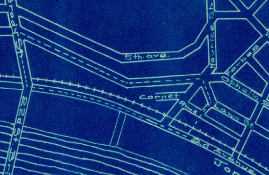 Detail of map showing district covered by survey.