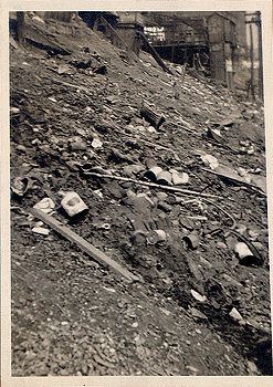 Photograph 
of view behind Forbes Street houses.