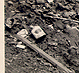 Thumbnail: Photo of a view behind Forbes Street houses (detail).