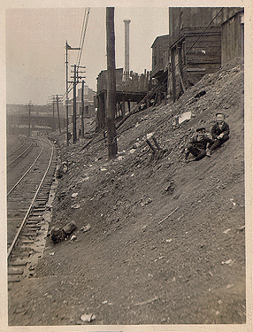 Photograph 
of view behind Forbes Street houses.