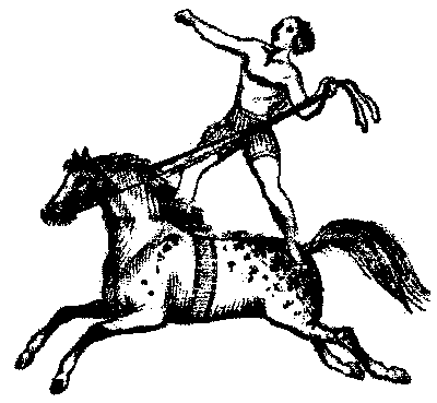 Scanned drawing of 
nineteenth century circus horse and rider
