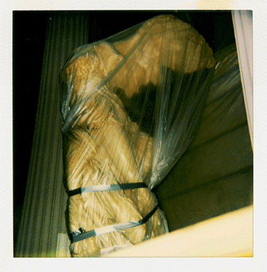 Photo_of_plaster_cast_of_Winged_Victory_of_Samothrace_wrapped_in_plastic.