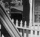 Thumbnail: Housing in West End, 1950 (detail).